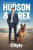 Постер Хадсон и Рекс (Hudson & Rex)