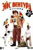 Постер Эйс Вентура младший (Ace Ventura Jr: Pet Detective)