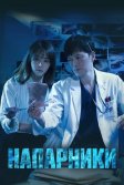 Постер Напарники (Investigation Couple / Partners for Justice)