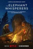 Постер Заклинатели слонов (The Elephant Whisperers)