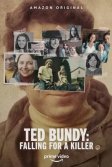 Постер Тед Банди: Влюбиться в убийцу (Ted Bundy: Falling for a Killer)