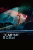 Постер Темные воды (Dark Waters)