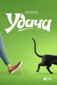 Постер Удача (Luck)