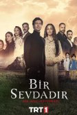 Постер Одна любовь сериал (Bir Sevdadir)