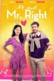 Постер Найти того самого (Finding Mr. Right)