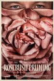 Постер Подрезка кустов роз (Rosebush Pruning)