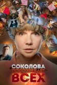 Постер Соколова подозревает всех 1-4 сезон