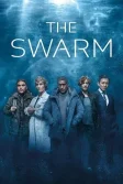 Постер Рой сериал (The Swarm)