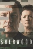 Постер Шервуд сериал (Sherwood)