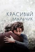 Постер Красивый мальчик (Beautiful Boy)