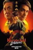 Постер Каратэ-пацан 2: Легенды (Karate Kid 2: Legends)