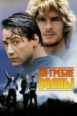 Постер На гребне волны (Point Break)