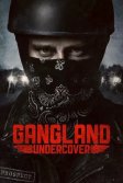 Постер Под прикрытием сериал (Gangland Undercover)