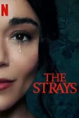 Постер Бродяги (The Strays)