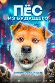 Постер Пёс из будущего (Lai zi wang xing de ni)