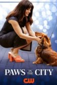 Постер Лапы в городе (Paws in the City)