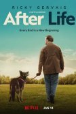 Постер Следом за жизнью (After Life)