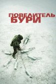 Постер Повелитель бури (The Hurt Locker)