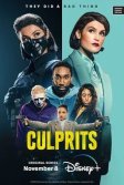 Постер Виновные сериал (Culprits)