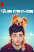 Постер Целебные силы Чувака (The Healing Powers of Dude)