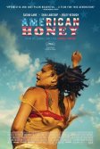 Постер Американская милашка (American Honey)