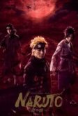 Постер Наруто. Фильм (Naruto)