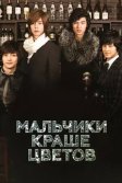 Постер Мальчики краше цветов (Boys Before Flowers)