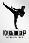 Постер Кикбоксер возвращается (Kickboxer: Retaliation)