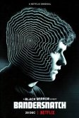 Постер Черное зеркало. Бандерснэтч (Black Mirror: Bandersnatch)