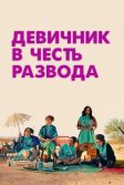 Постер Девичник в честь развода (My Divorce Party)