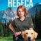 Голубые небеса