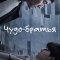 Чудо-братья