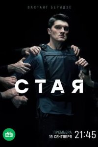 Постер Стая