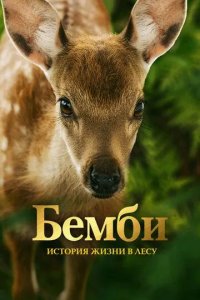 Постер Бемби. История жизни в лесу (Bambi, l'histoire d'une vie dans les bois)