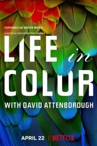 Постер Жизнь в цвете с Дэвидом Аттенборо (Life in Colour)