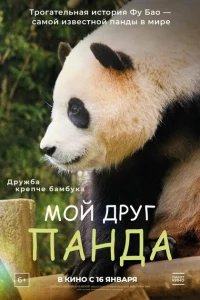 Постер Мой друг панда (My Dearest Fu Bao)