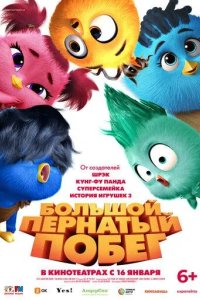 Постер Большой пернатый побег (Out of the Nest)