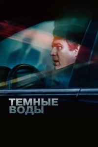 Постер Темные воды (Dark Waters)