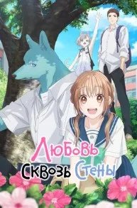 Постер Любовь сквозь стены (Kimi to Koete Koi ni Naru)