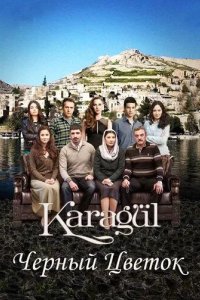 Постер Чёрный цветок сериал (Karagul)