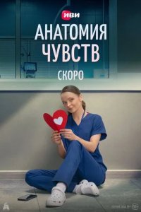 Постер Анатомия чувств