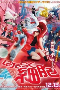 Постер Клетки за работой (Hataraku Saibou)