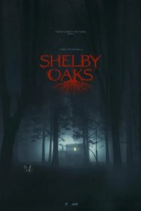 Постер Шелби Оукс. Город-призрак (Shelby Oaks)
