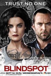 Постер Слепая зона (Blindspot)