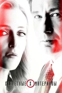 Постер Секретные материалы (The X-Files)