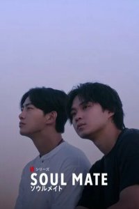 Постер Родная душа (Soul Mate)