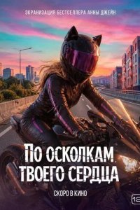 Постер По осколкам твоего сердца