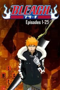 Постер Блич 1-2 сезон (Bleach)