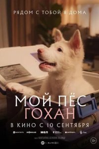 Постер Мой пёс Гохан (Gohan)