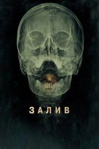 Постер Залив (The Bay)